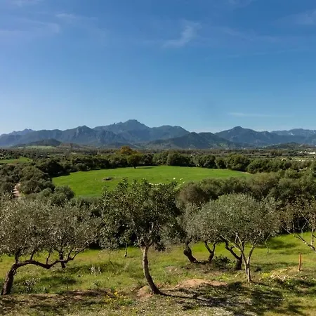 L'asfodelo